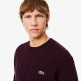 maillot homme  lacoste pulls