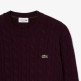 maillot homme  lacoste pulls