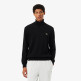homme pulls 031