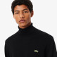 homme pulls 031