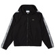 cazadora homme  lacoste blouson