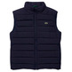cazadora homme  lacoste blouson