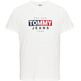 t-shirt homme  th tjm entry flag tee