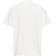 t-shirt homme  th tjm entry flag tee