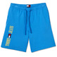 le short homme  th tjm sweat short