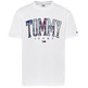 t-shirt homme  th tjm clsc tartan tommy tee