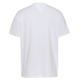 homme tjm aop flag tee ybr
