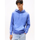 homme tjm reg s flag hoodie c6d