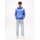 homme tjm reg s flag hoodie c6d
