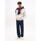 homme tjm reg s flag zip thru p09