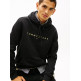 sweat-shirt homme  tommy hilfiger tjm reg linear logo hoodie ext