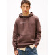 sweat-shirt homme  tommy hilfiger tjm reg linear logo hoodie ext