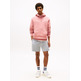 sweat-shirt homme  tommy hilfiger tjm reg linear logo hoodie ext