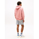 sweat-shirt homme  tommy hilfiger tjm reg linear logo hoodie ext