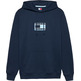 homme tjm reg pop clr flag hoodie ex c1g