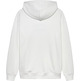 homme tjm reg pop clr flag hoodie ex ybl