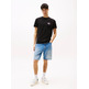 homme tjm reg flag graph bckprnt t e bds