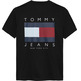 homme tjm reg flag graph bckprnt t e bds