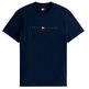 homme tjm reg flag linear ss tee ext c1g