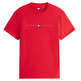homme tjm reg flag linear ss tee ext xle