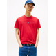 homme tjm reg flag linear ss tee ext xle