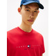 homme tjm reg flag linear ss tee ext xle