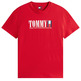 homme tjm reg tommy dna flag tee ext xle
