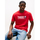 homme tjm reg tommy dna flag tee ext xle