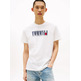 homme tjm reg tommy dna flag tee ext ybl