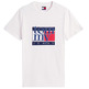 homme tjm slim rwb flag tee ext ybh