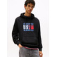 homme tjm reg rwb flag hoodie ext bds