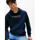 homme tjm reg dna hoodie ext c1g