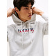 homme tjm reg dna hoodie ext p09