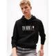 homme tjm reg rwb dna graphic hoodie bds