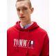 homme tjm reg rwb dna graphic hoodie xle
