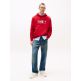 homme tjm reg rwb dna graphic hoodie xle