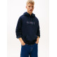 sweat-shirt homme  tommy hilfiger tjm reg entry dna play hood
