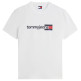 t-shirt homme  tommy hilfiger tjm reg entry dna ss tee