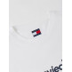 t-shirt homme  tommy hilfiger tjm reg entry dna ss tee