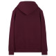 sweat-shirt homme  tommy hilfiger tjm reg crest hoodie