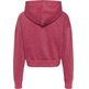sweat-shirt femme th tjw super crop college logo