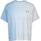 t-shirt femme th tjw cls dip dye signature tee