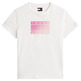 femme tjw reg gradient flag ss ybl