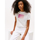 femme tjw reg gradient flag ss ybl