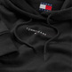 femme tjw reg linear hoodie ext bds