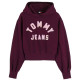 sweat-shirt femme  tommy hilfiger tjw ovs sh tommy arch hoodie