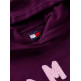 sweat-shirt femme  tommy hilfiger tjw ovs sh tommy arch hoodie