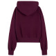 sweat-shirt femme  tommy hilfiger tjw ovs sh tommy arch hoodie
