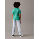 t-shirt garçon calvin klein chest surf graphic t-shirt