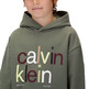 sweat-shirt garçon  calvin klein color logo graphic terry hoodi